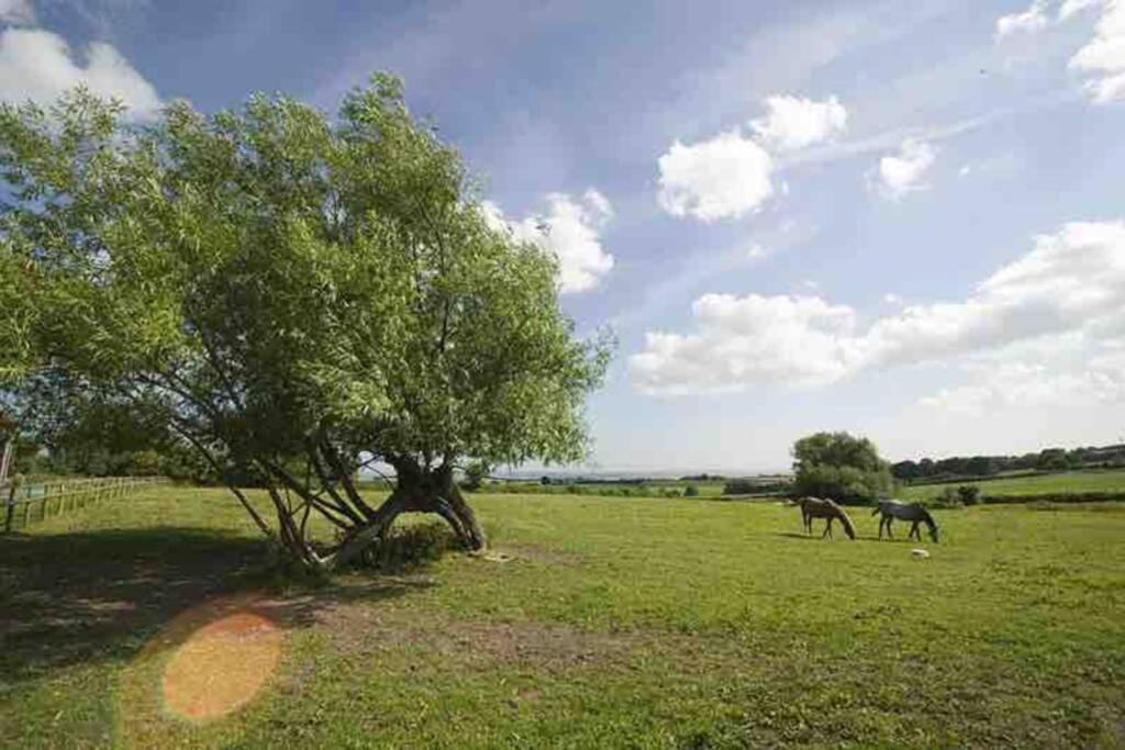 Edge Barn Villa Woolaston Dış mekan fotoğraf